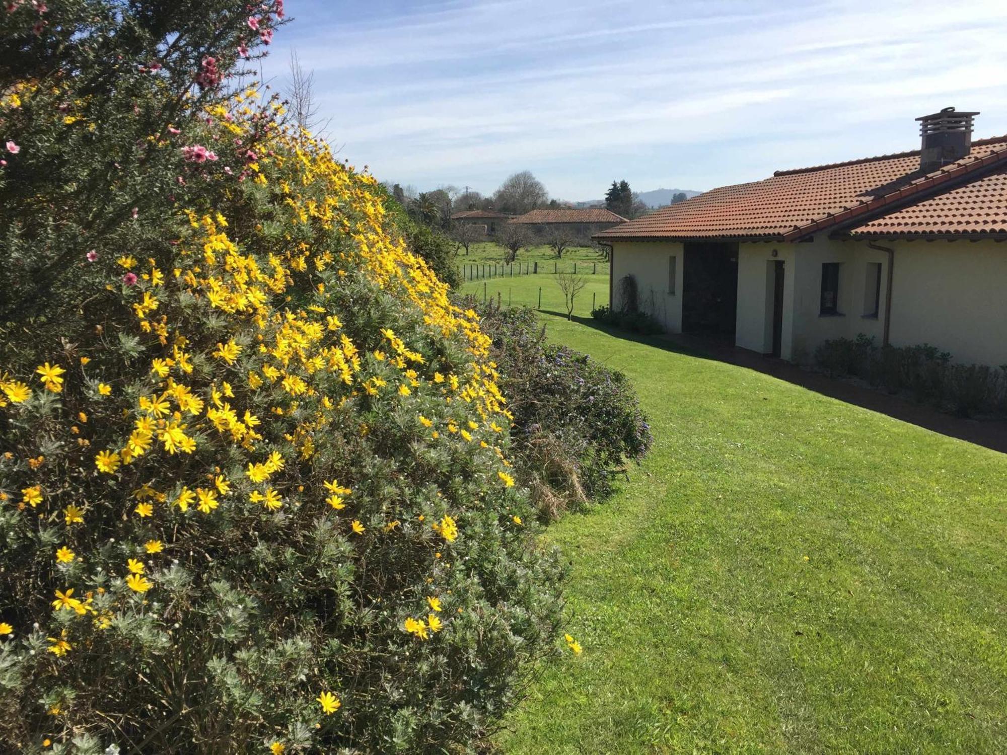 Almarinae Apartamentos Castiello de la Marina 외부 사진